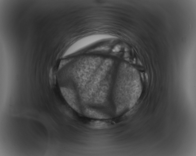 X0000084600180200703231935