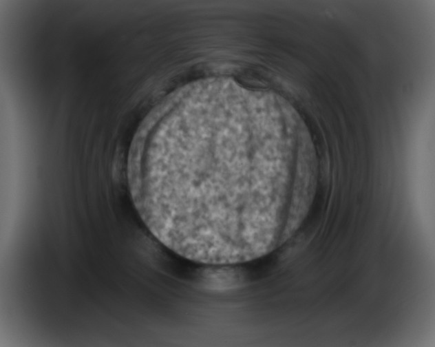 X0000084600181200703231935