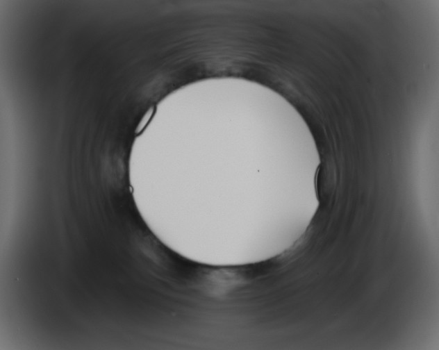 X0000084600183200703231935