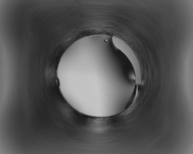 X0000084600184200703231935