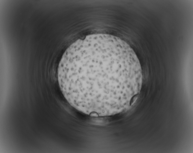 X0000084600187200703231935