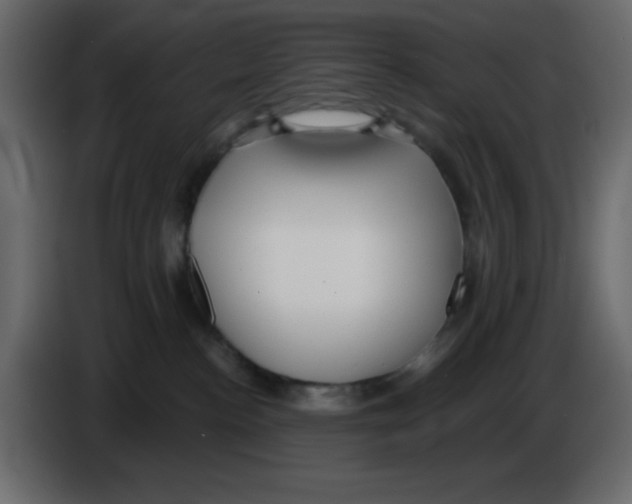 X0000084600188200703231935