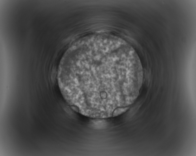 X0000084600189200703231935