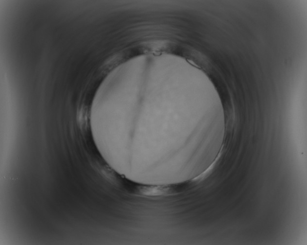 X0000084600191200703231935