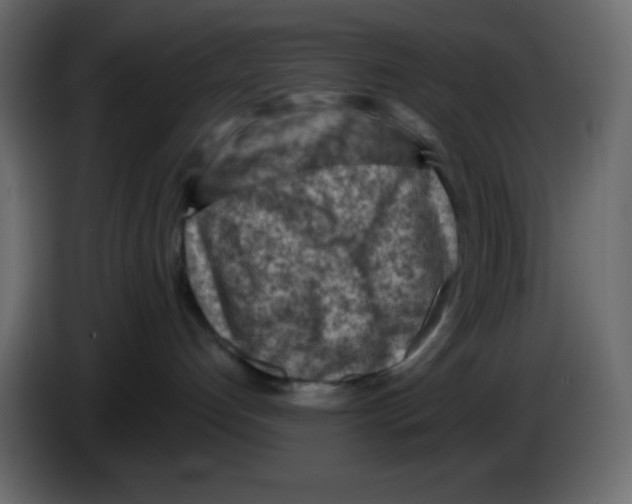 X0000084600192200703231935