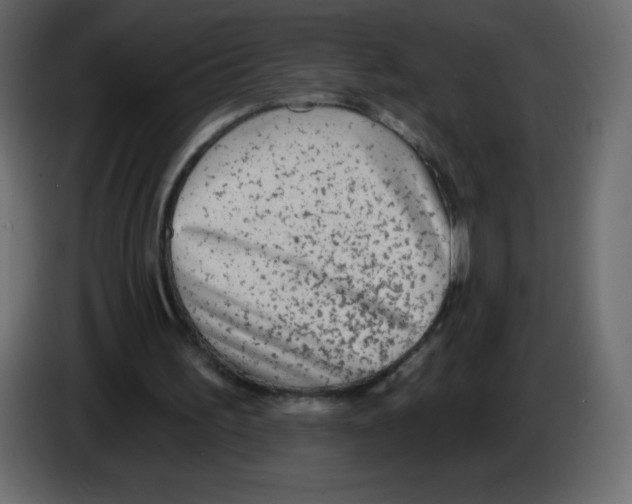 X0000084600195200703231934