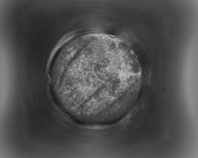 X0000084600198200703231934