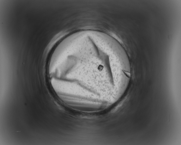 X0000084600199200703231934