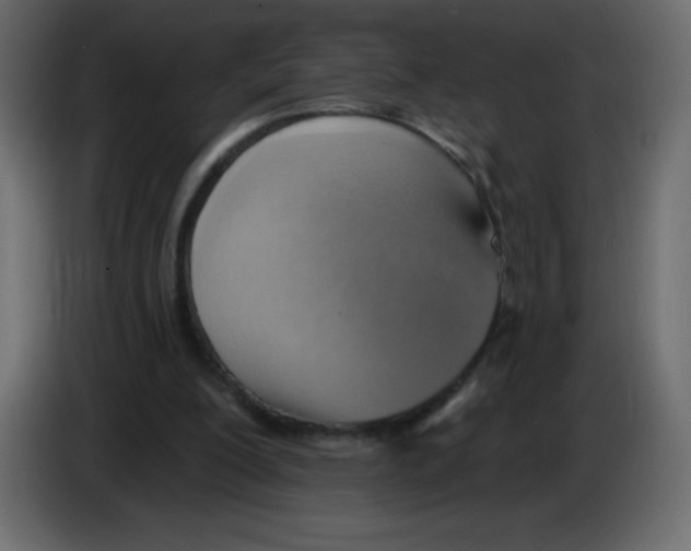 X0000084600200200703231934