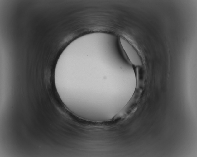 X0000084600201200703231934