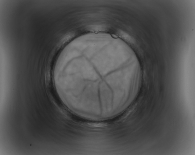 X0000084600202200703231934