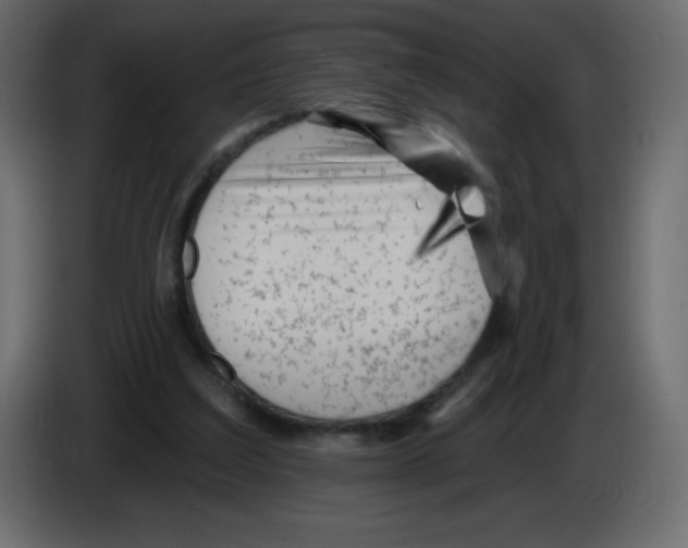 X0000084600203200703231934