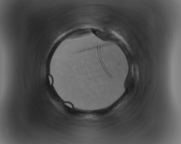 X0000084600204200703231934