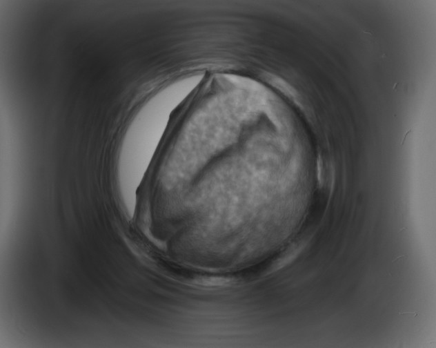 X0000084600205200703231934