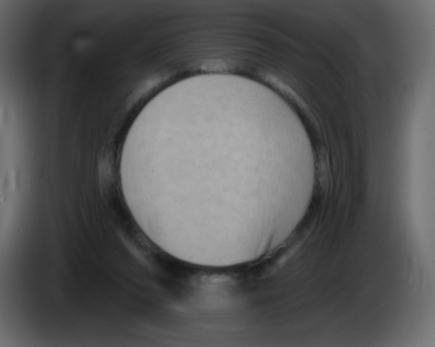 X0000084600208200703231934