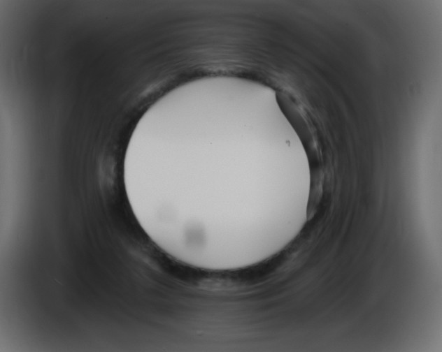 X0000084600211200703231934