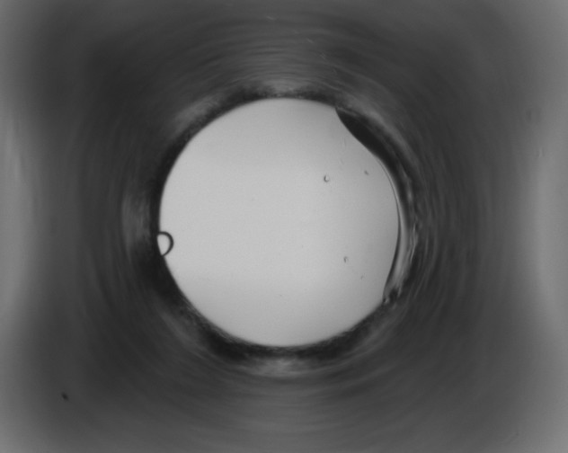 X0000084600212200703231934