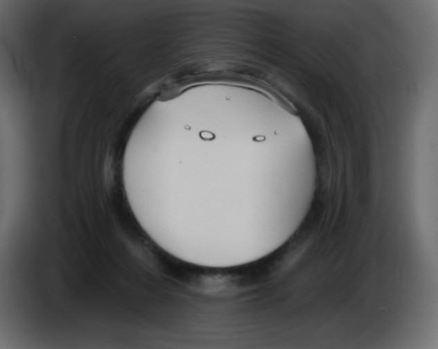 X0000084600216200703231934