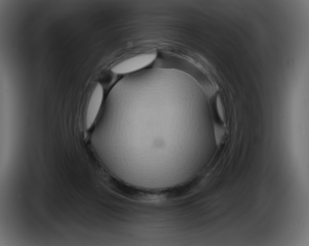 X0000084600217200703231934