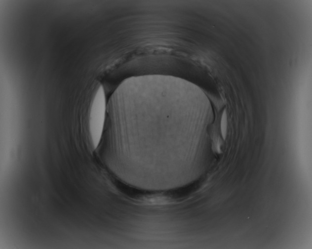 X0000084600219200703231934