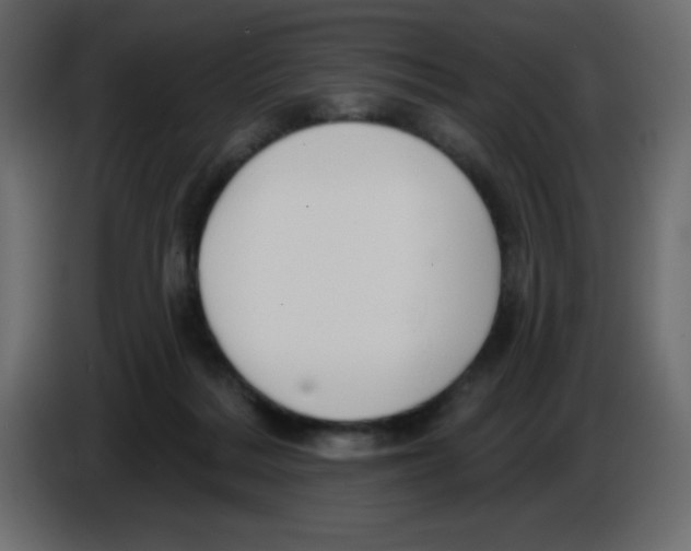 X0000084600220200703231934