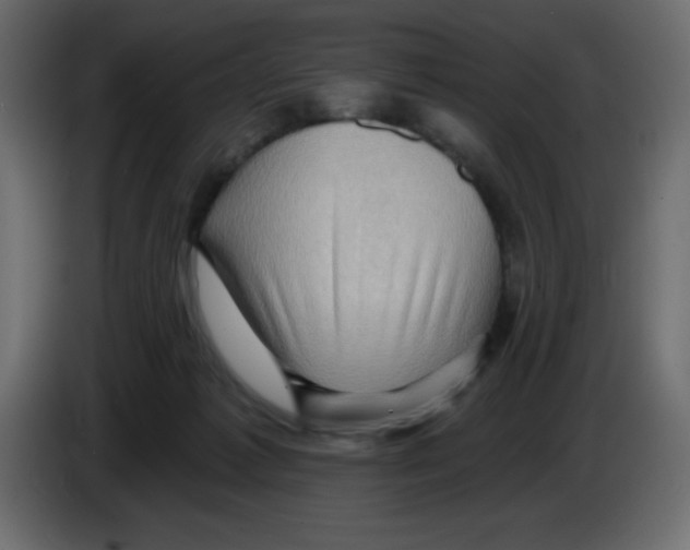 X0000084600221200703231934