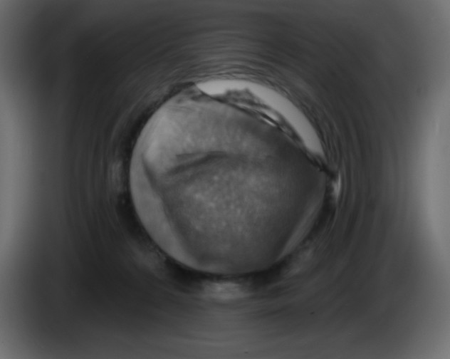 X0000084600224200703231934