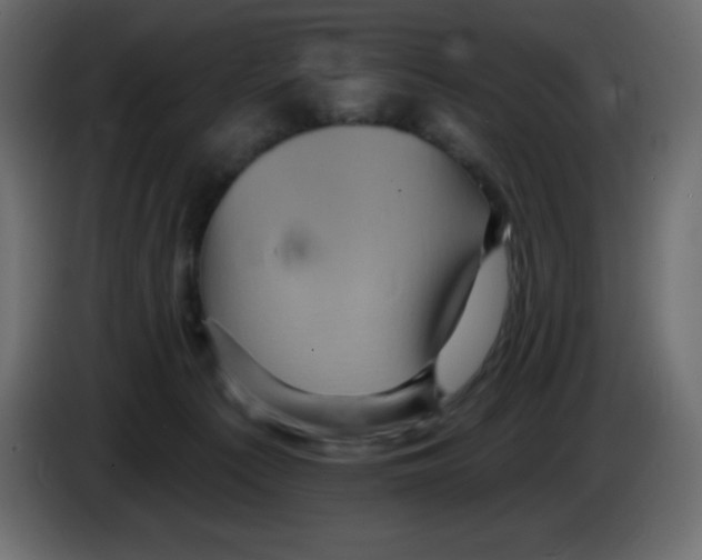 X0000084600225200703231934