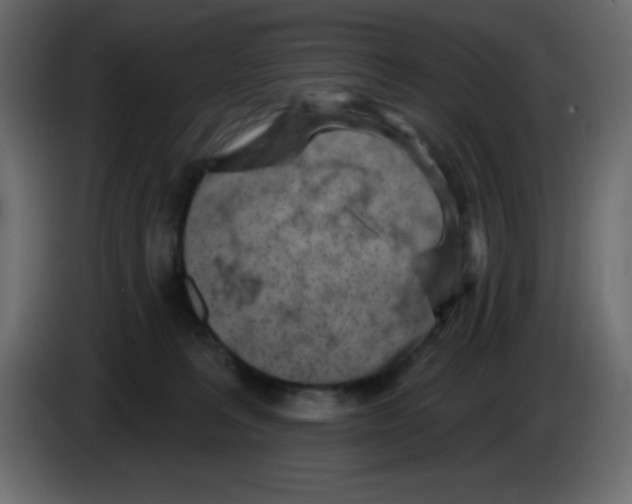 X0000084600227200703231934