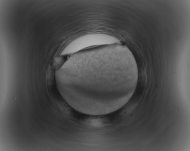 X0000084600228200703231934