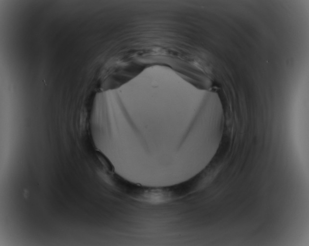 X0000084600231200703231934