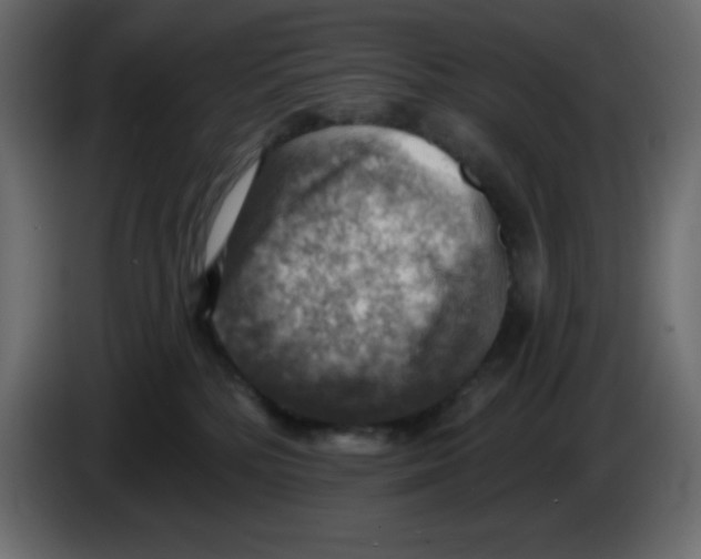 X0000084600232200703231934