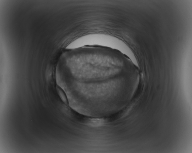 X0000084600233200703231934