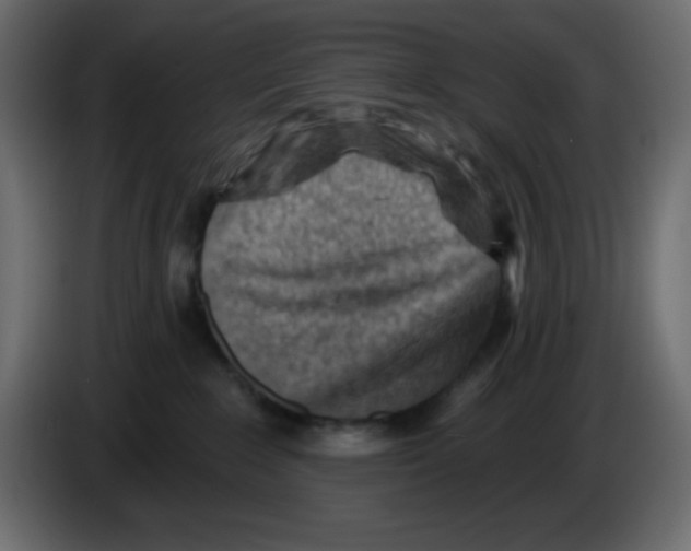 X0000084600235200703231933