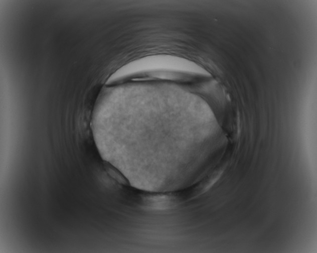 X0000084600237200703231933