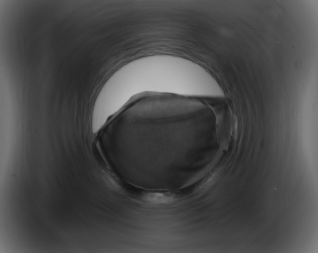 X0000084600239200703231933