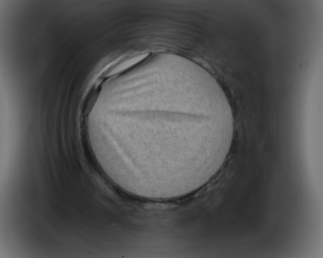 X0000084600242200703231933