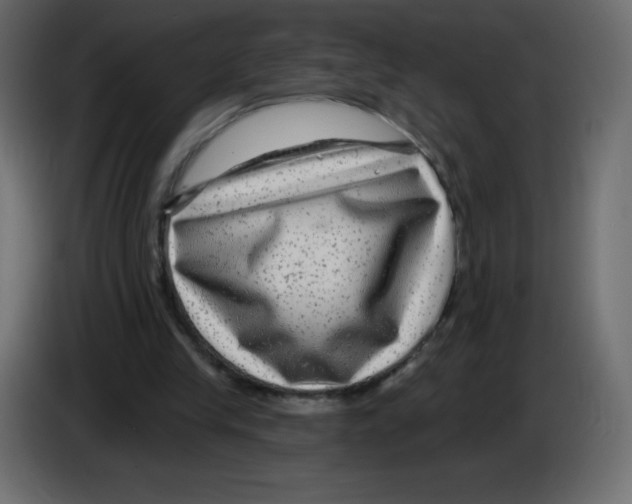 X0000084600245200703231933