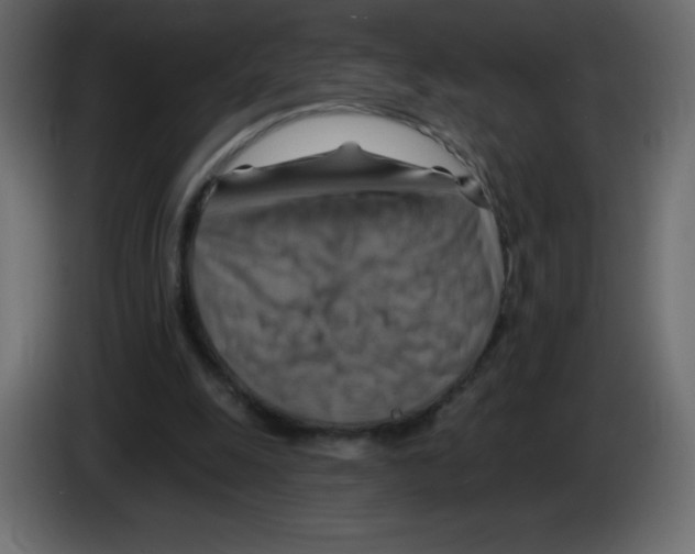 X0000084600247200703231933