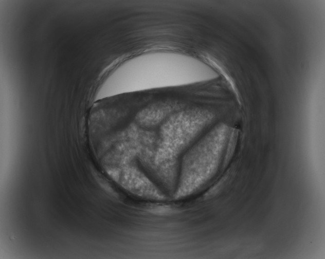 X0000084600249200703231933