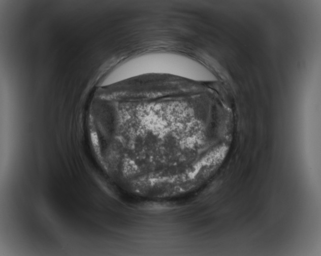 X0000084600250200703231933