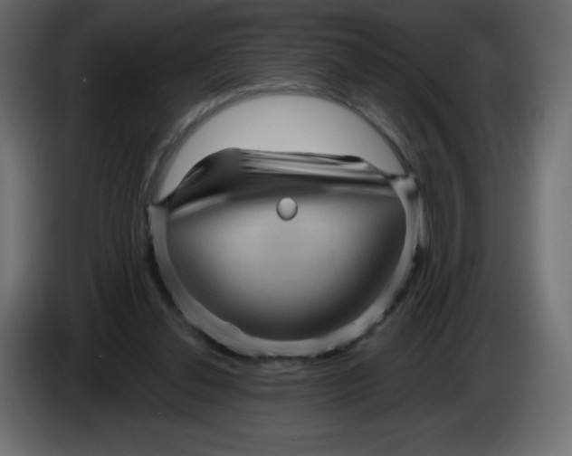 X0000084600252200703231933