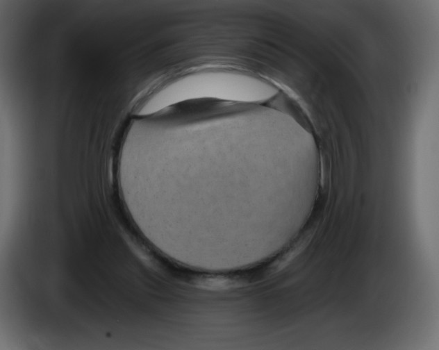 X0000084600253200703231933