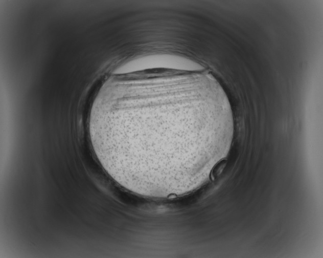 X0000084600254200703231933