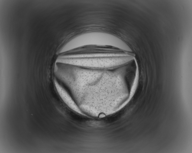 X0000084600255200703231933