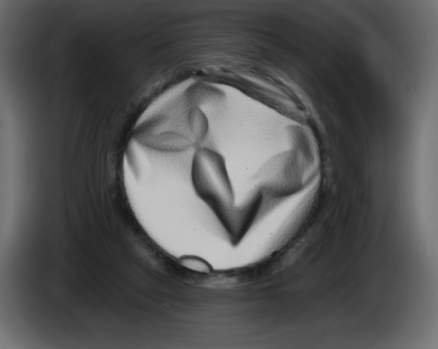 X0000084600257200703231933