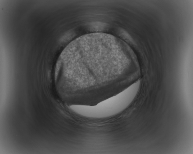 X0000084600258200703231933