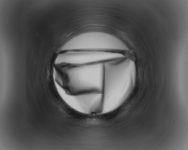 X0000084600259200703231933