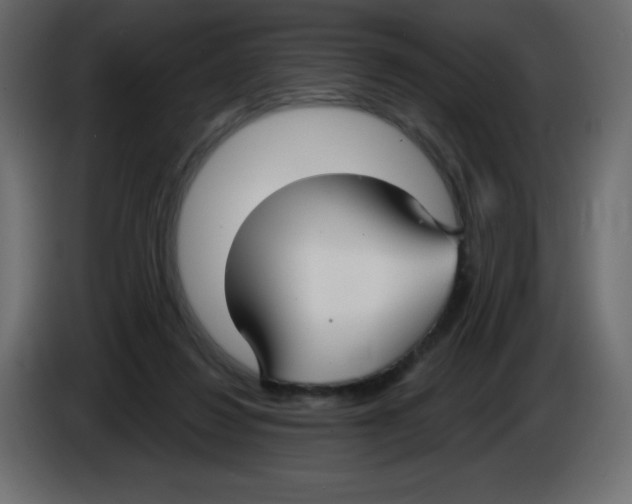 X0000084600260200703231933