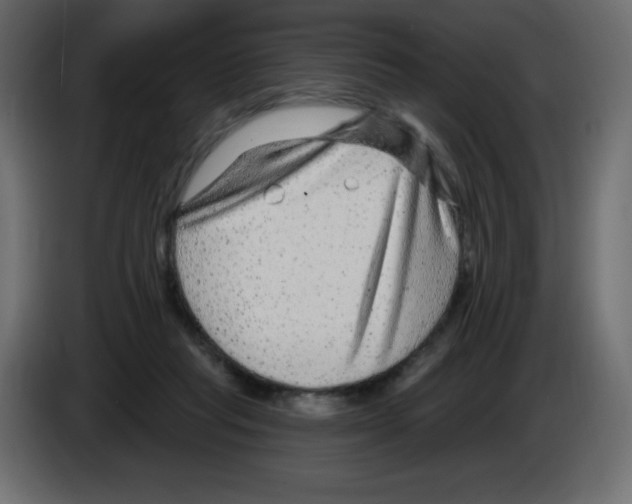 X0000084600261200703231933